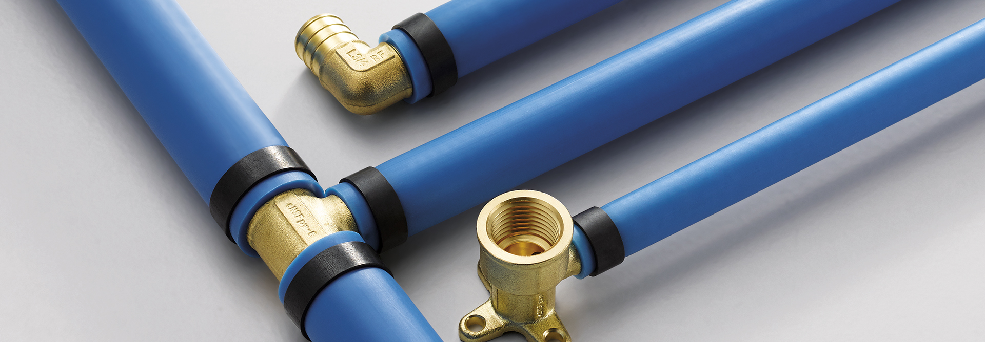 c56f03f3b4c8286e8465e945d206a581